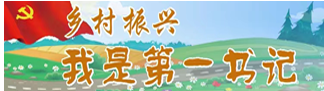 鄉(xiāng)村振興|我是第一書記